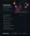 Shark Team.png